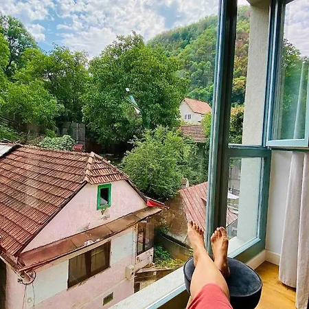Daire Uptown Monkey 7 Min Walk To Republicii Street Braşov