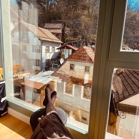 Uptown Monkey 7 Min Walk To Republicii Street Brasov