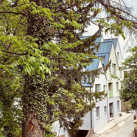 Uptown Monkey 7 Min Walk To Republicii Street * Braşov