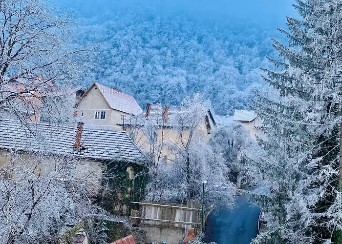 Uptown Monkey 7 Min Walk To Republicii Street Apartment *