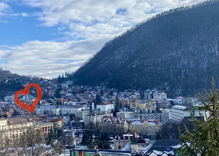 Uptown Monkey 7 Min Walk To Republicii Street Apartment