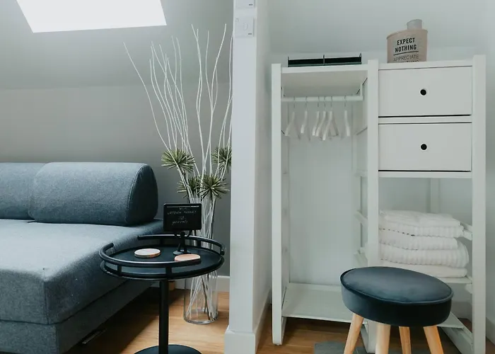 Apartment Uptown Monkey 7 Min Walk To Republicii Street *