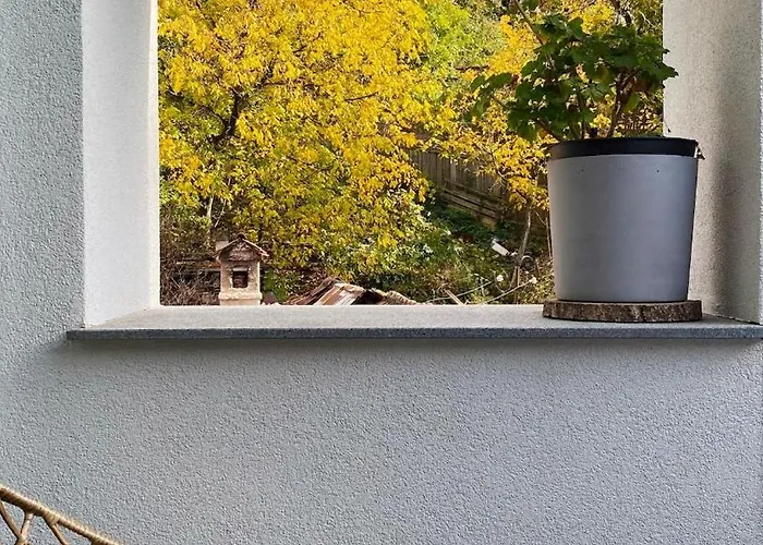 Uptown Monkey 7 Min Walk To Republicii Street