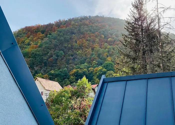 Uptown Monkey 7 Min Walk To Republicii Street Apartment *