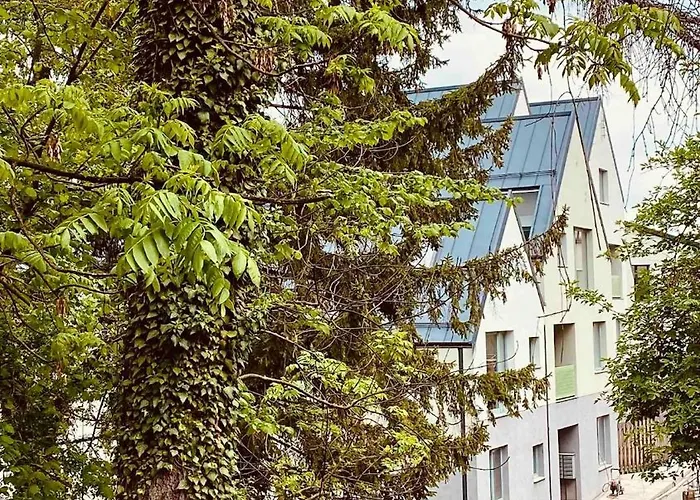 Uptown Monkey 7 Min Walk To Republicii Street * Brasov