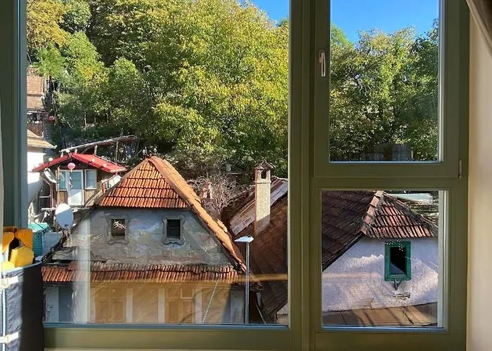 Uptown Monkey 7 Min Walk To Republicii Street Apartment